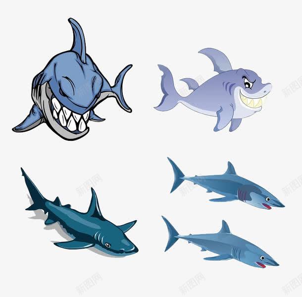 鲨鱼图案png免抠素材_新图网 https://ixintu.com 卡通 图案 手绘 牙齿 简图 蓝色的 鱼尾 鲨鱼