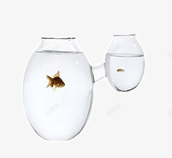 大鱼缸和小鱼缸png免抠素材_新图网 https://ixintu.com 两个 大鱼缸 小鱼缸 水纹 透明 鱼类 鱼缸