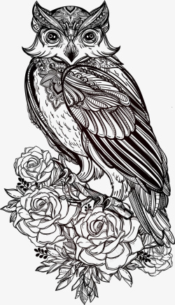 手绘花朵上的猫头鹰素材