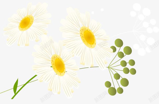 创意白色夏花png免抠素材_新图网 https://ixintu.com 夏花 插画花朵 白色小花 花朵素材
