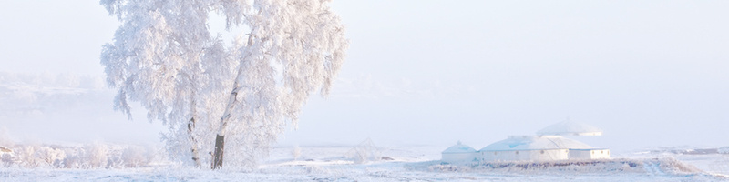 冬季冰雪背景psd_新图网 https://ixintu.com 冬季 冰雪 摄影 海报banner 银树 风景