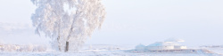 银树冬季冰雪背景高清图片