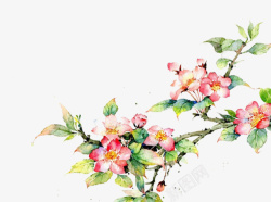 粉色桃花素材
