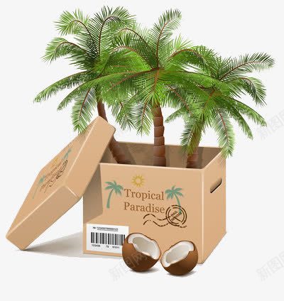箱子里的椰子树png免抠素材_新图网 https://ixintu.com 三亚 树木 水果