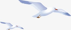 鸟飞卡通手绘海鸥高清图片