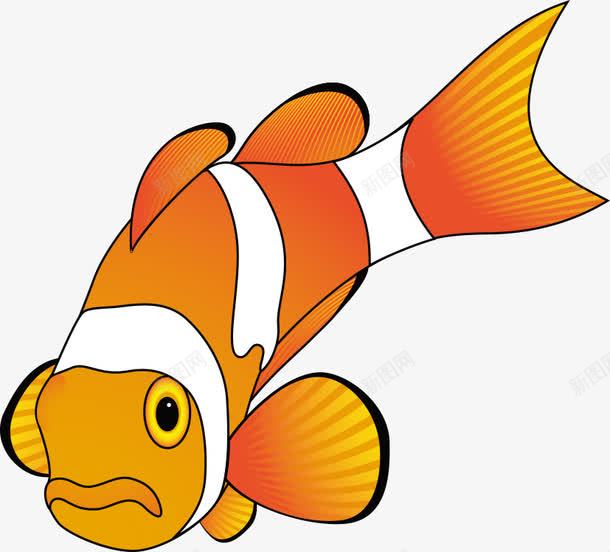 卡通小鱼png免抠素材_新图网 https://ixintu.com 卡通动物 卡通小鱼 水中生物 海洋生物 生物世界 鱼 鱼儿 鱼类