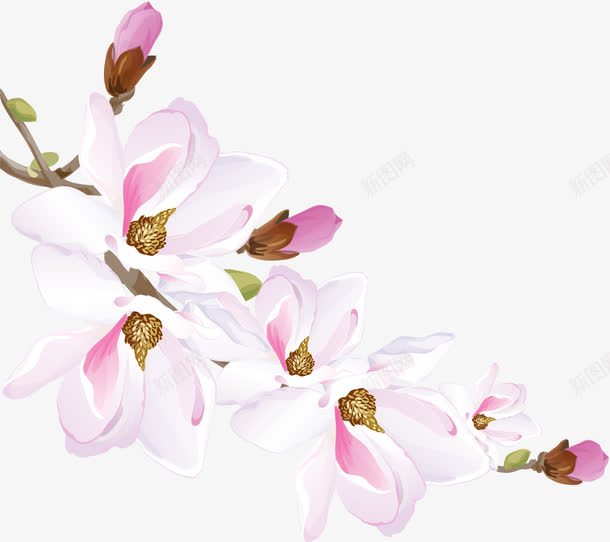 手绘白色花朵花瓣png免抠素材_新图网 https://ixintu.com 唯美 小清新 手绘花苞 水彩 白色花朵 粉色花瓣