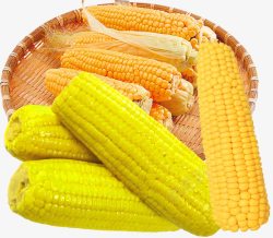 干玉米黄色干玉米老玉米高清图片