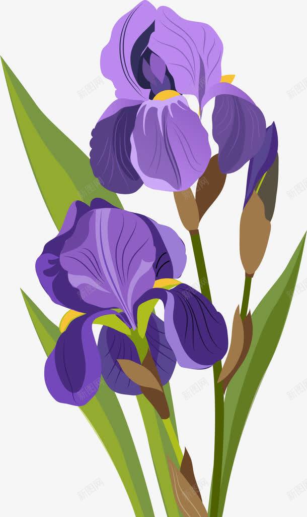 紫色郁金香png免抠素材_新图网 https://ixintu.com 唯美 手绘 水彩 漂亮 花卉 花朵 装饰