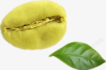青黄色的咖啡豆png免抠素材_新图网 https://ixintu.com 叶子 绿叶 食材 黄色