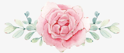 玫瑰插画素材花手绘花插画玫瑰手绘玫瑰花高清图片
