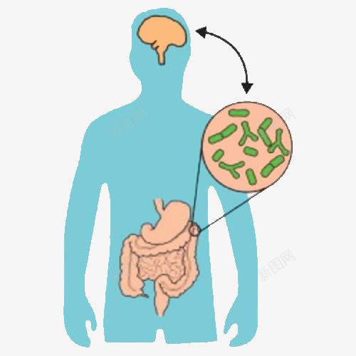 肠道png免抠素材_新图网 https://ixintu.com 人体 出的 卡通肠道 卡通肠道设计 手绘 手绘肠道设计 细菌 脑袋 蓝色人体