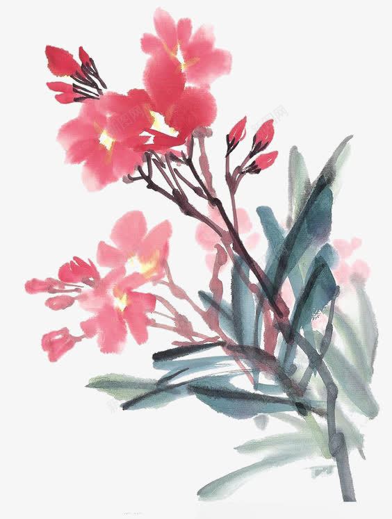 水墨花朵png免抠素材_新图网 https://ixintu.com 中国画 中国风 水墨插画 水彩花朵 红色花朵