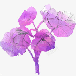 紫色水彩叶子素材