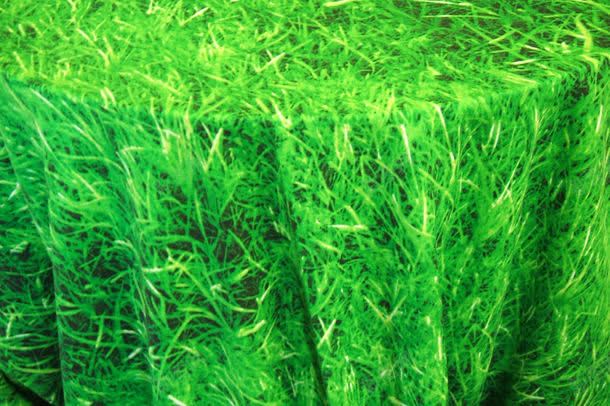 茂盛的草背景jpg设计背景_新图网 https://ixintu.com 图片素材 底纹背景 植物 绿油油 背景 背景花边 茂盛 茂盛的草背景图片 茂盛的草背景图片素材下载 草地 青草地