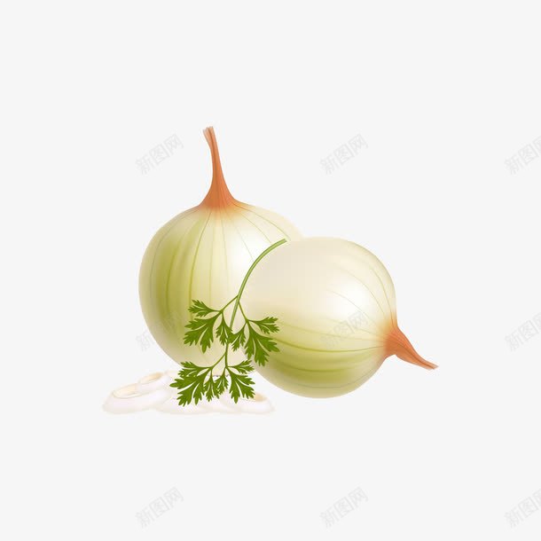 拟物蔬菜png免抠素材_新图网 https://ixintu.com 两个 洋葱 白色