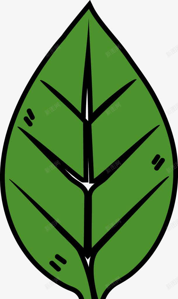 一片小小的绿色叶子png免抠素材_新图网 https://ixintu.com 创意叶子 叶子 叶子手绘图 小叶子 手绘 手绘叶子 树叶 树叶图 矢量叶子 绿色叶子 绿色的