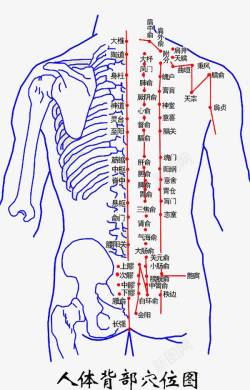 大椎人体背部穴位大全高清图片