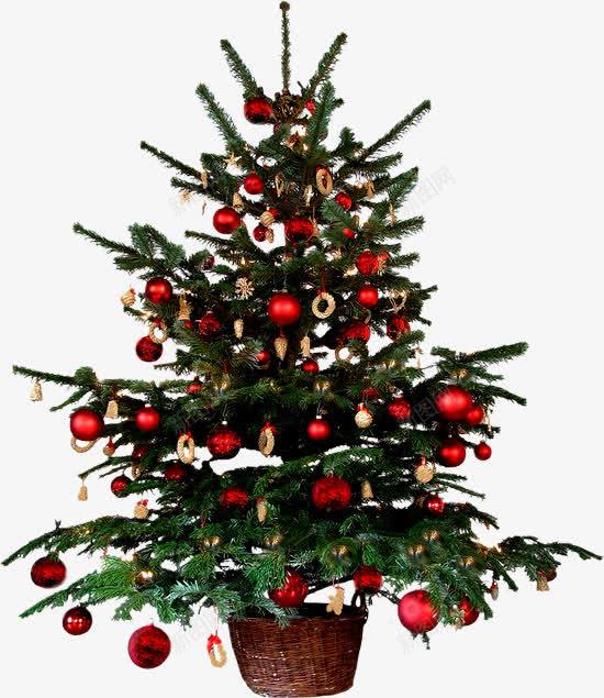挂马礼物球的圣诞树png免抠素材_新图网 https://ixintu.com 挂马礼物球的圣诞树