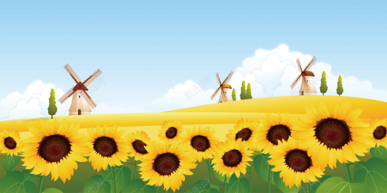 黄灿灿的向阳花背景摄影图片