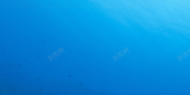 蓝色海洋鱼儿畅游jpg设计背景_新图网 https://ixintu.com 海洋 畅游 蓝色 鱼儿