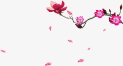 中秋节花朵海报素材