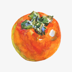 新鲜脆柿子矢量插画成熟柿子水彩插画高清图片