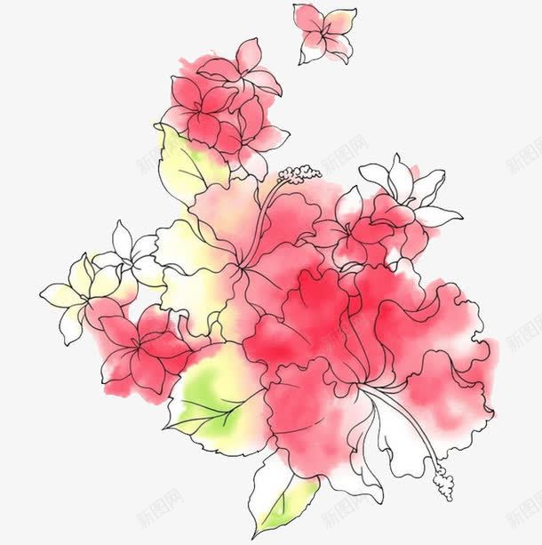 木槿花png免抠素材_新图网 https://ixintu.com 彩铅 手绘 木槿花 植物