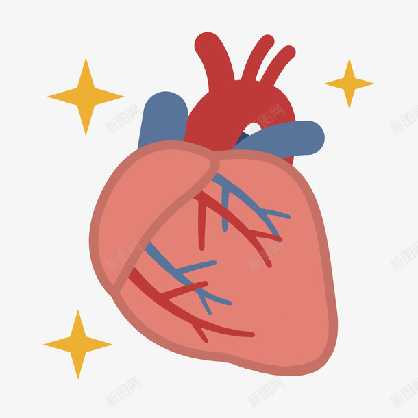 卡通健康心脏矢量图eps免抠素材_新图网 https://ixintu.com 卡通 器官 心脏 心脏PNG矢量图 心脏免扣PNG图 手绘 矢量心脏 矢量图