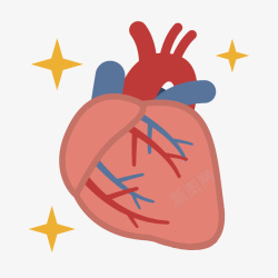 卡通健康心脏矢量图素材