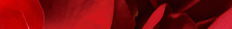年中化妆品促销海报背景psd设计背景_新图网 https://ixintu.com 618 化妆品 口红 天猫活动 年中大促 浪漫 海报 红色 背景