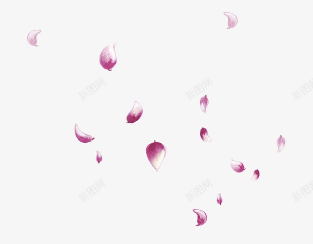 唯美紫色花瓣飘落png免抠素材_新图网 https://ixintu.com 创意 唯美 婚礼 紫色 花瓣