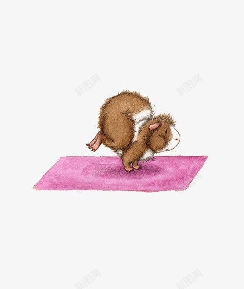 小和粉色瑜伽png免抠素材_新图网 https://ixintu.com 创意 小豚鼠 插画 瑜伽 瑜伽垫 粉色 荷兰猪