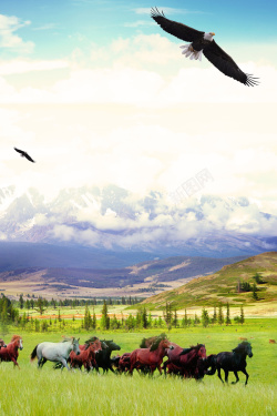 蒙古旅行社美丽蒙古海报背景高清图片