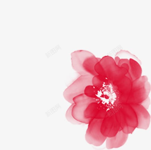 创意手绘水彩红色的花卉植物png免抠素材_新图网 https://ixintu.com 创意 植物 水彩 红色 花卉