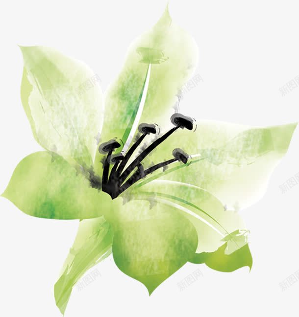 水彩画水仙花png免抠素材_新图网 https://ixintu.com 水仙花 水彩画 素材