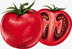 手绘红番茄红番茄矢量图高清图片
