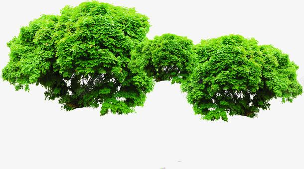 绿色清新植物公园景观png免抠素材_新图网 https://ixintu.com 公园 景观 植物 清新 绿色