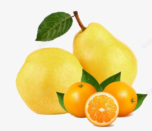 梨子和橙子png免抠素材_新图网 https://ixintu.com 广柑 甜橙 雪梨 黄色