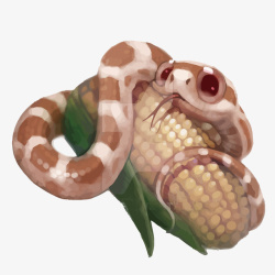 玉米蛇玉米蛇矢量图高清图片