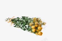 黄玫瑰素材