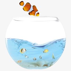 鱼缸里的水里世界鱼缸高清图片