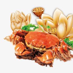 金色大闸蟹产品实物金色手绘荷花大闸蟹高清图片