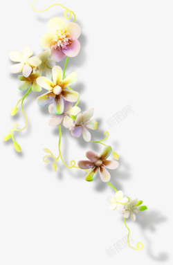 植物花卉装饰素材