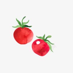 新鲜西红柿水彩画素材