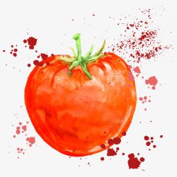 水彩番茄素材