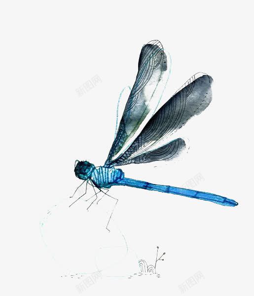 蜻蜓png免抠素材_新图网 https://ixintu.com 卡通蜻蜓 小蜻蜓 手绘蜻蜓 蓝色蜻蜓