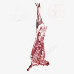 生鲜羊排整羊半羊山羊肉现杀烧烤羔羊高清图片