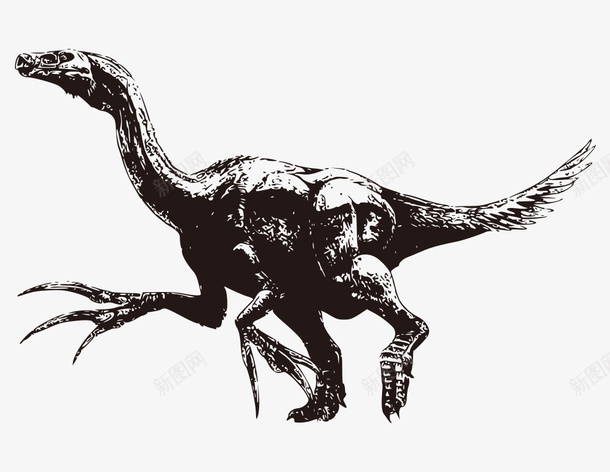 手绘黑白凶猛恐龙矢量图图标ai_新图网 https://ixintu.com 凶猛的恐龙 平面恐龙素材 手绘的动物 手绘的恐龙 黑白的恐龙 矢量图