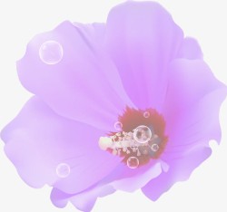 紫色梦幻花朵泡泡素材